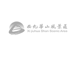 合作伙伴一