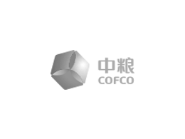 合作伙伴七