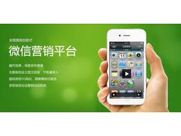 什么是微小六