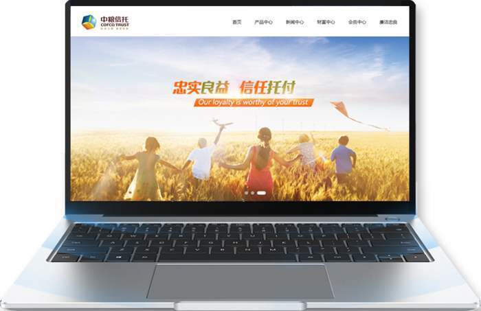 pc+手機(jī)網(wǎng)站建設(shè)